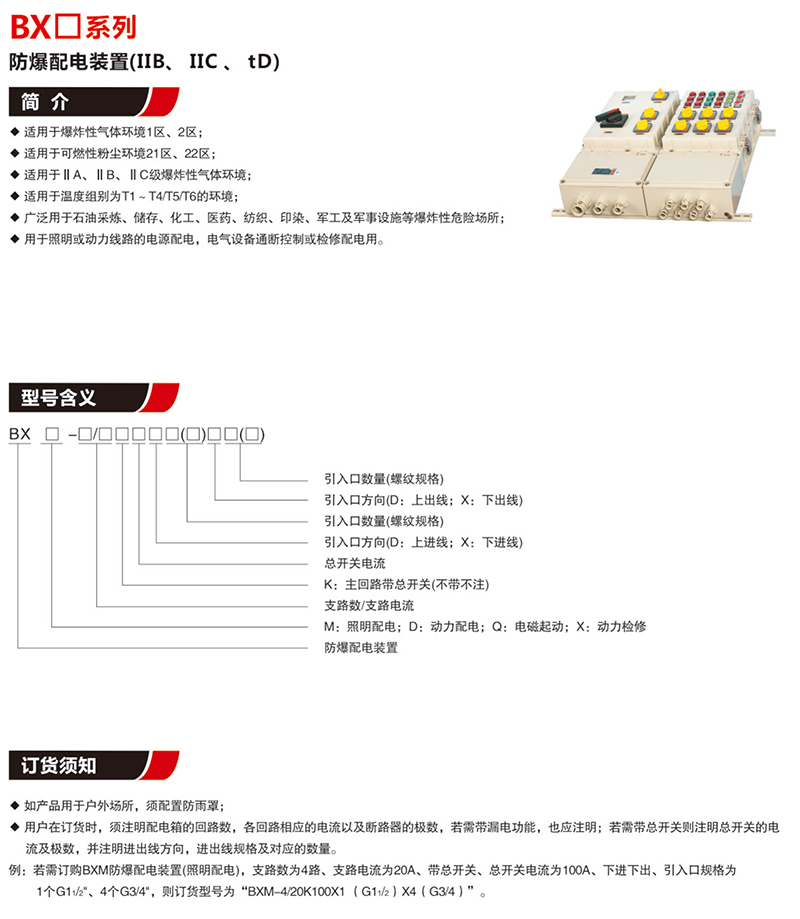 BX口防爆配电装置（IIB,IIC,tD）